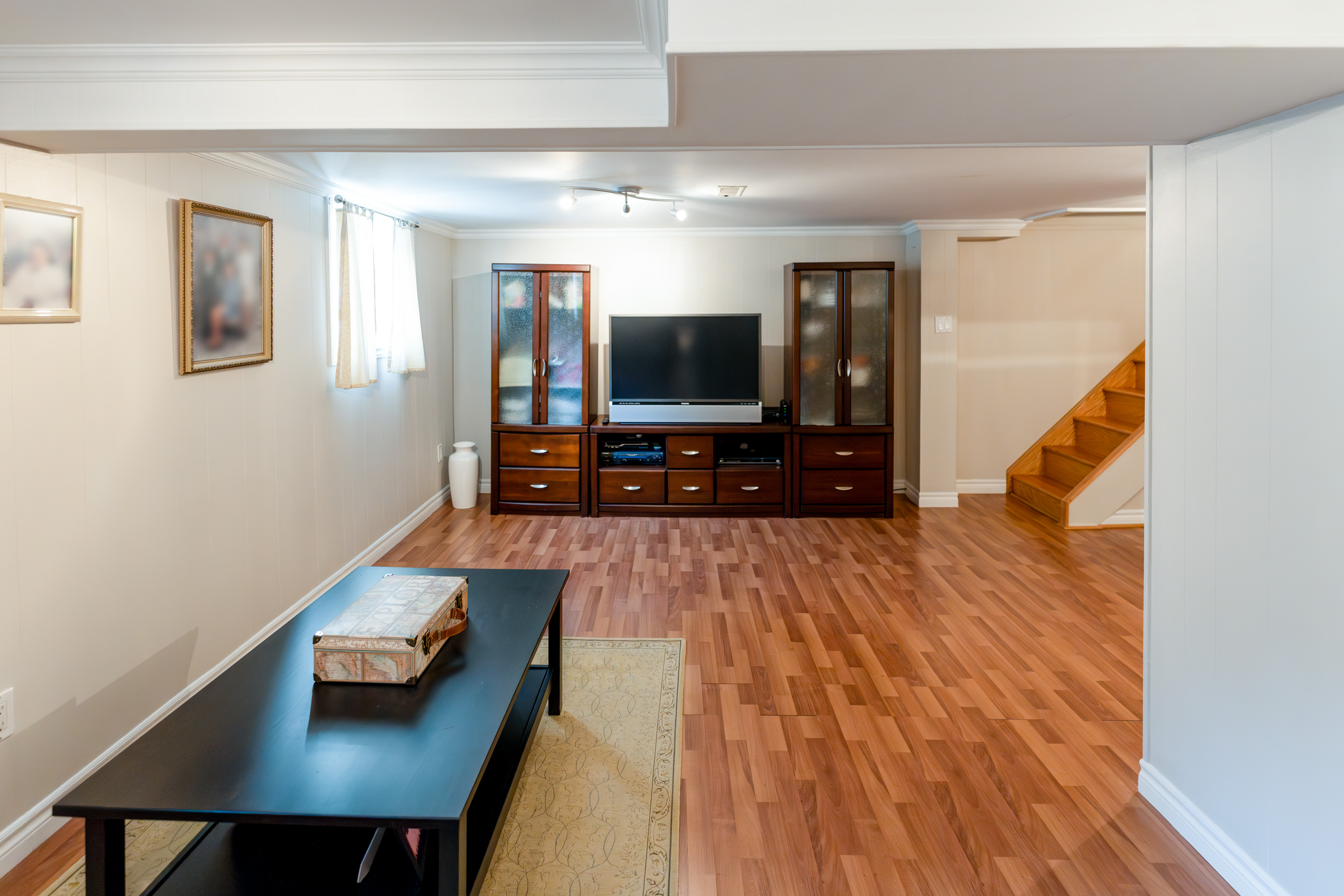 Large Basement Rec Room