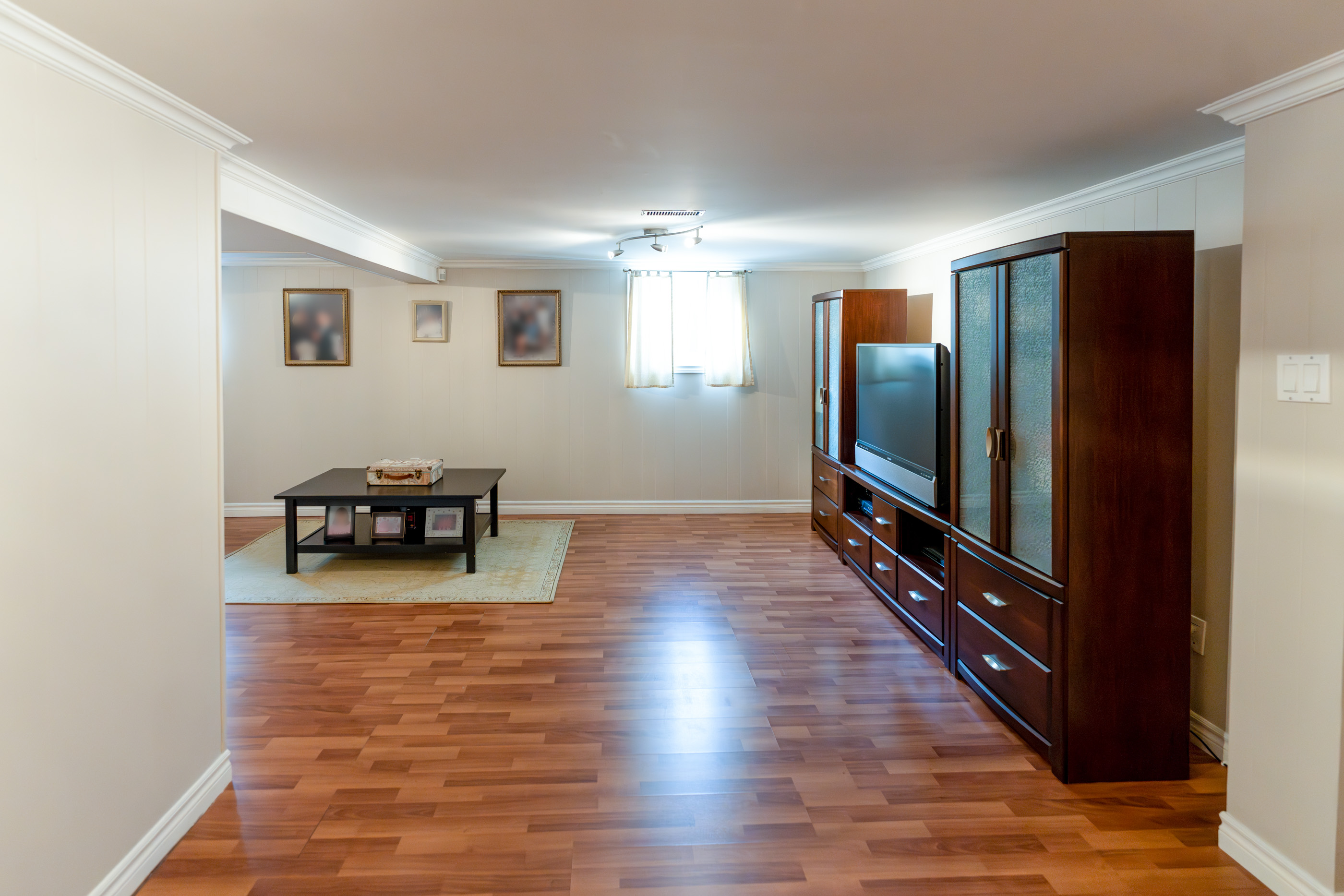 Large Basement Rec Room